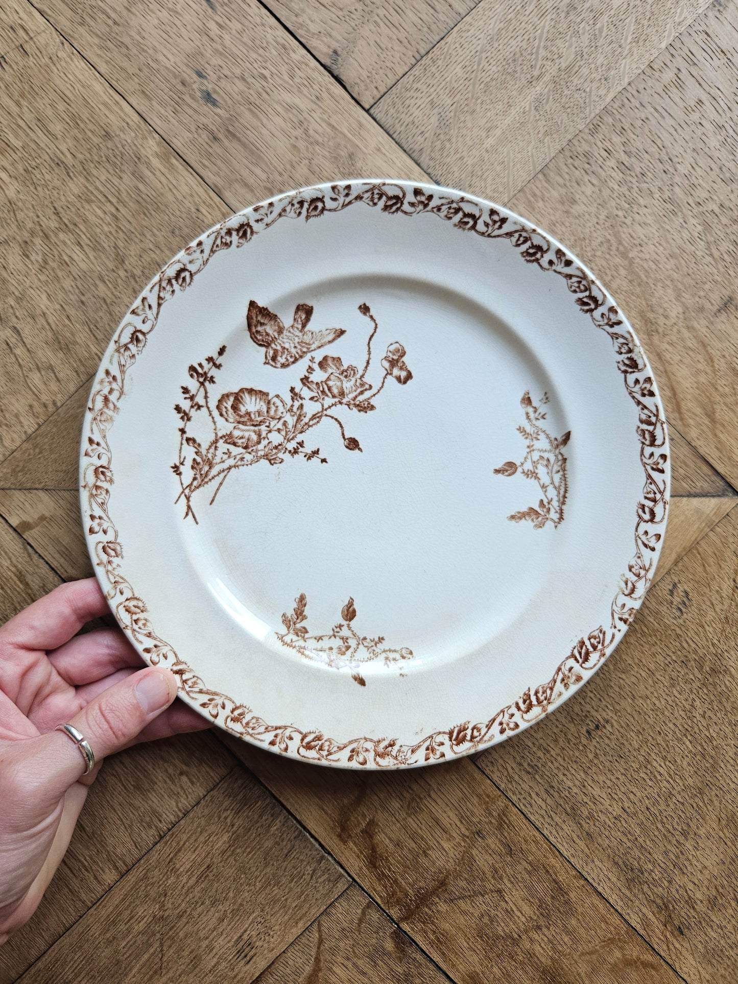 Assiette ancienne terre de fer couleur sépia. Décor oiseau comme le modèle Favori de Sarreguemines.