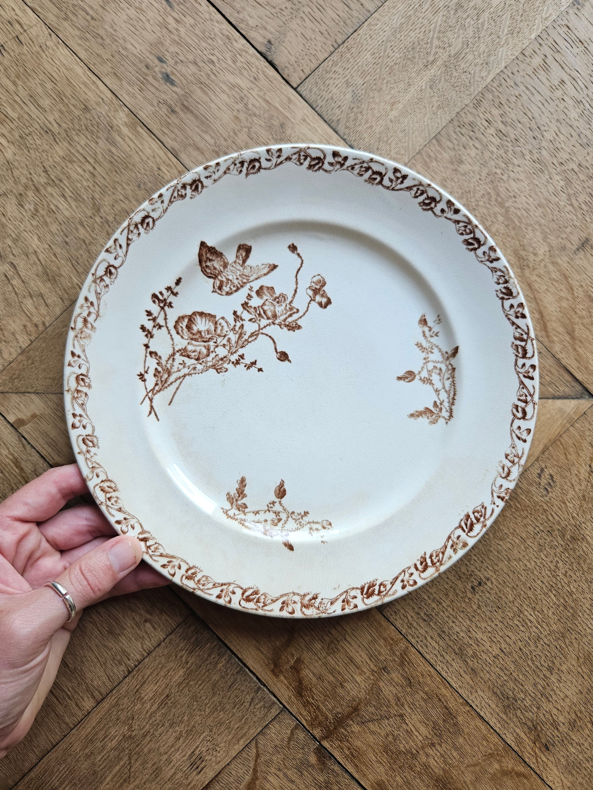 Assiette ancienne terre de fer couleur sépia. Décor oiseau comme le modèle Favori de Sarreguemines.