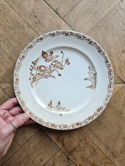 Assiette ancienne terre de fer couleur sépia. Décor oiseau comme le modèle Favori de Sarreguemines.