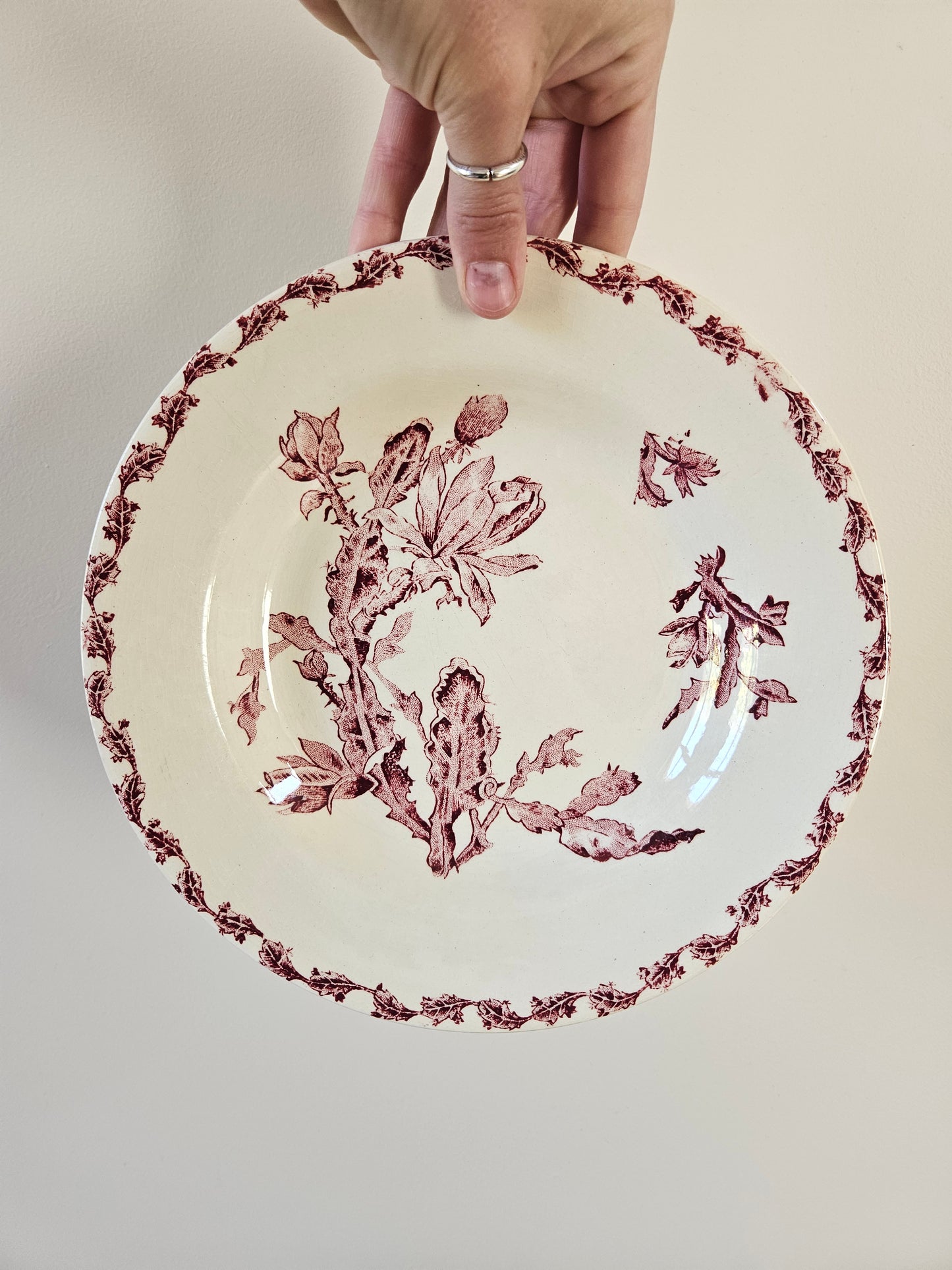 Ancienne assiette manufacture Gien, modèle Cactus rouge. Ironstone.