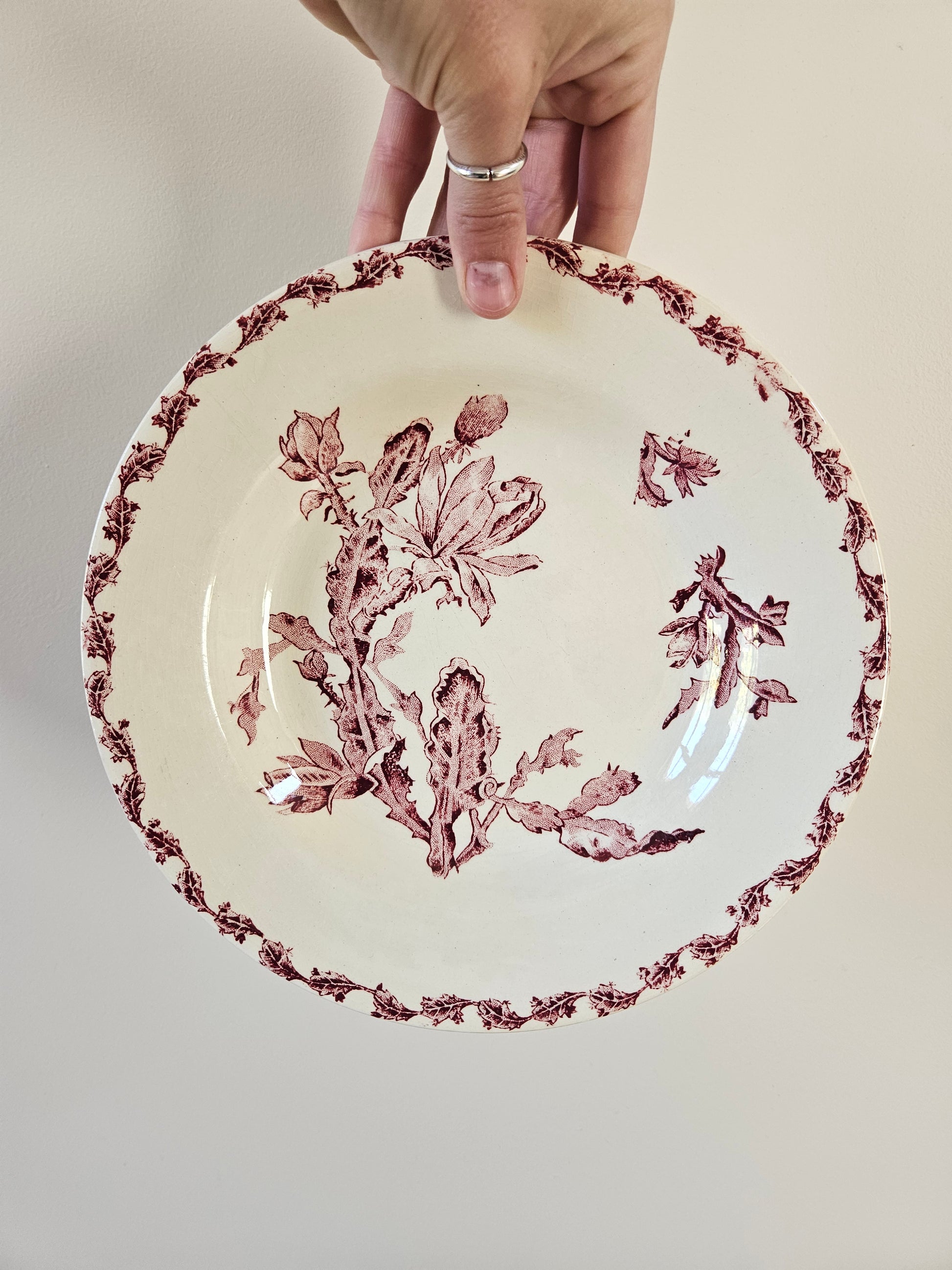 Ancienne assiette manufacture Gien, modèle Cactus rouge. Ironstone.