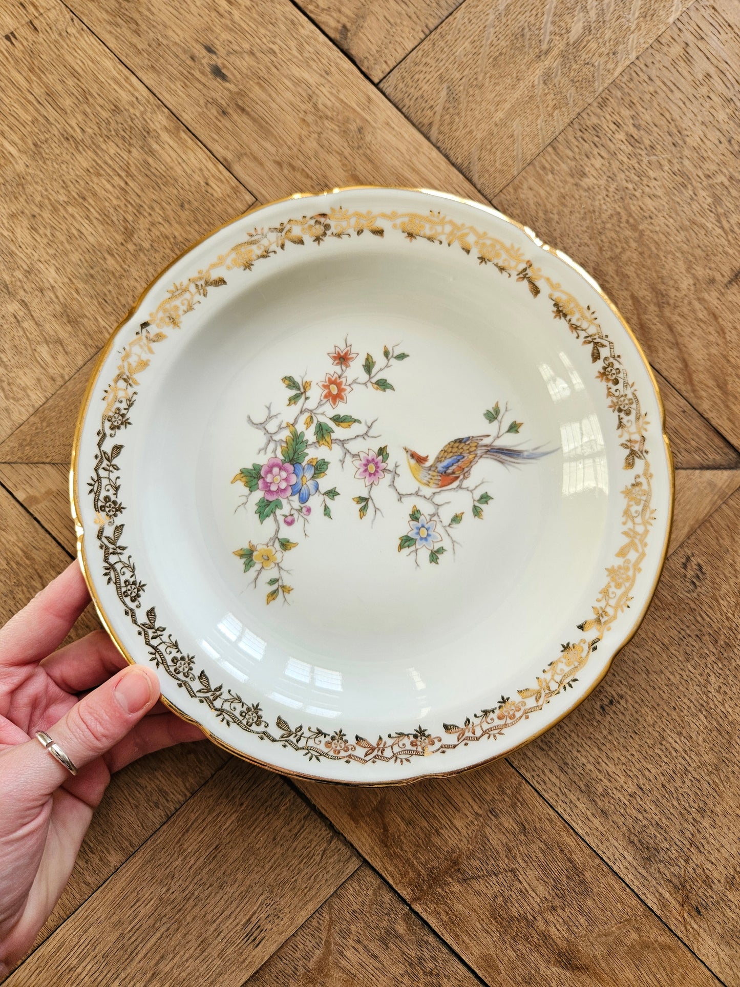 Assiettes creuses porcelaine Oiseau