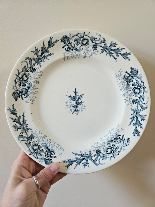 Assiette plate vintage de la manufacture Longwy. Modèle Cyrano.