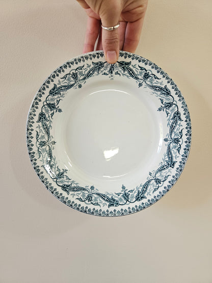 Assiettes plates Clairefontaine, Kleber