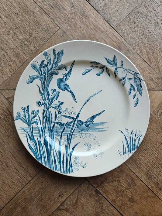 Assiette plate ancienne e.c. samaritaine service nenuphar. Terre de fer.