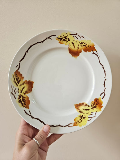 Assiettes plates Moulin des Loups, automne
