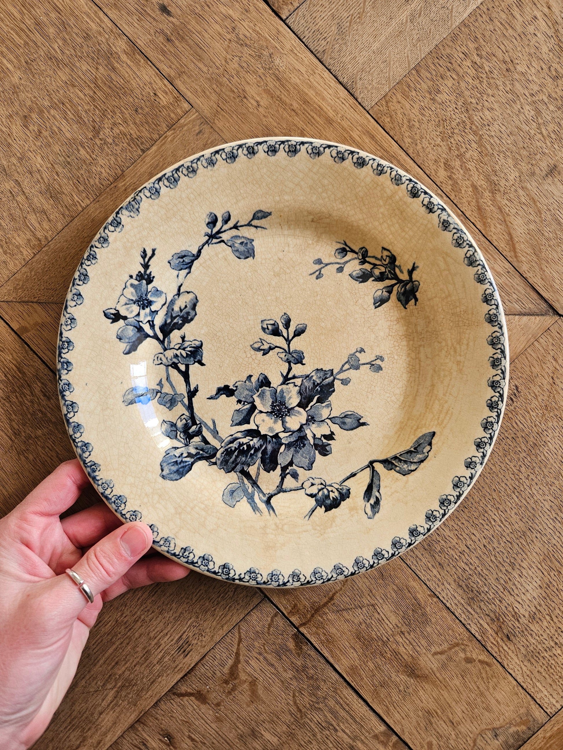 Assiettes ancienne en terre de fer Gien. Fleurs normandes. Porcelaine opaque.