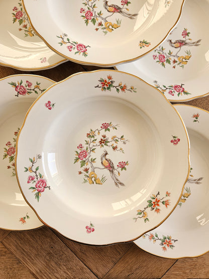 Assiettes creuses anciennes Digoin. Modèle Condé.
Décor d’oiseau et d’arbre en fleurs.