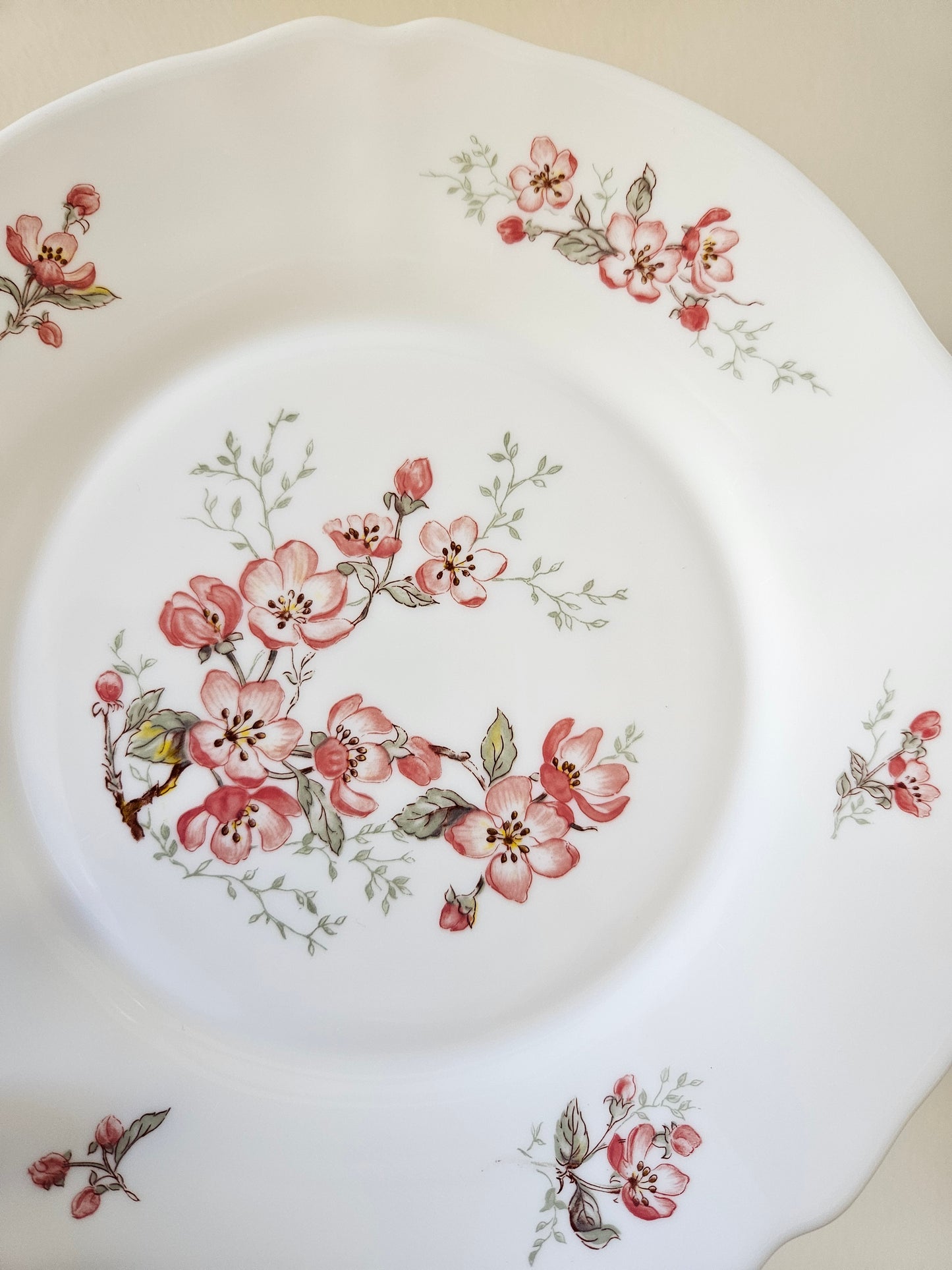 Assiette plate vintage Arcopal Florentine. Décor fleurs de cerisiers.