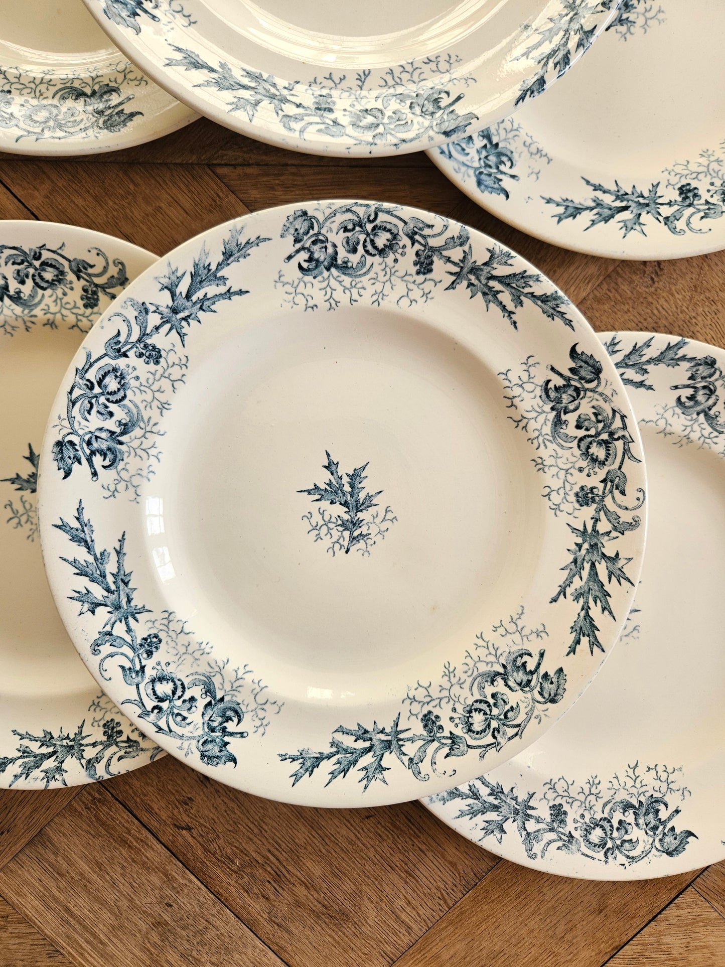 Assiettes plates Longwy, Cyrano