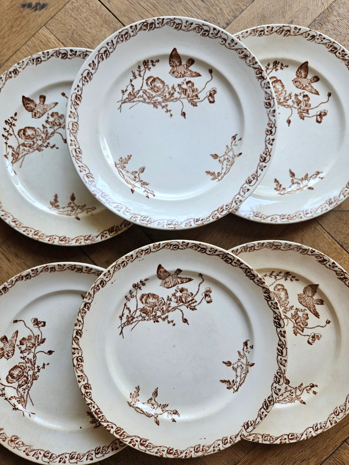 Assiettes plates anciennes terre de fer sepia. Décor coquelicots et oiseau style favori de sarreguemines.