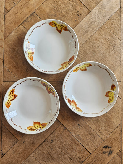 Assiettes calottes Moulin des Loups, automne