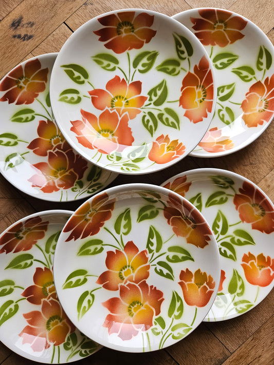 Lot de 6 assiettes calottes vintage moulin des loups. Modèle ontario. Grosses fleurs oranges et vertes. Spécial lave-vaisselle. 