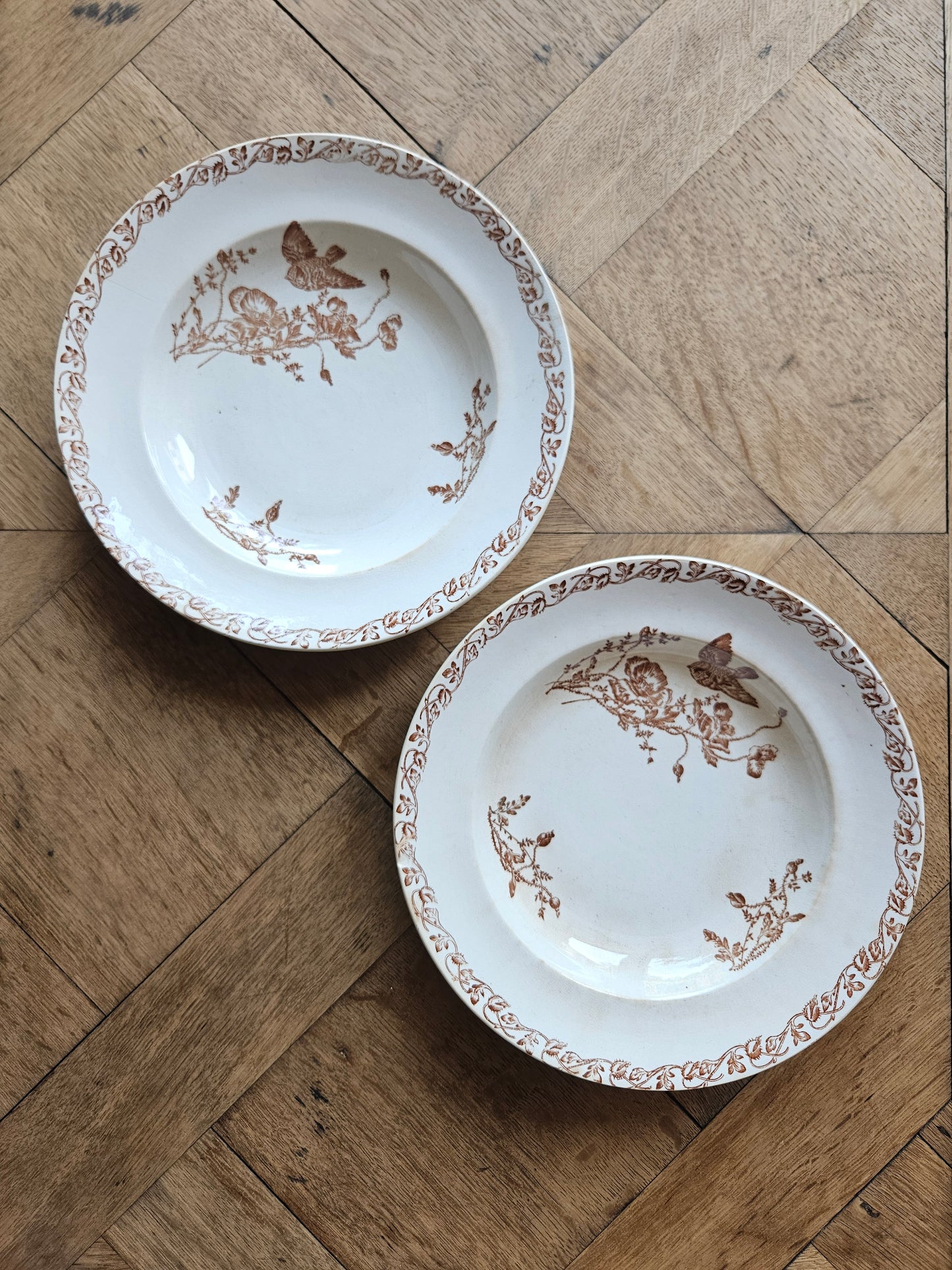 Lot de 2 assiettes creuses anciennes terre de fer décor oiseau et coquelicots 