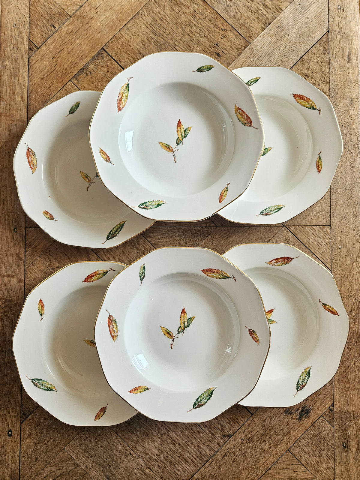 Lot 6 assiettes creuses anciennes digoin et Sarreguemines modèle nemours. Décor automne.