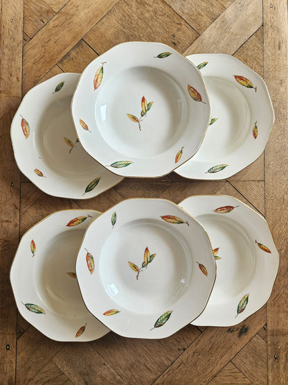 Lot 6 assiettes creuses anciennes digoin et Sarreguemines modèle nemours. Décor automne.