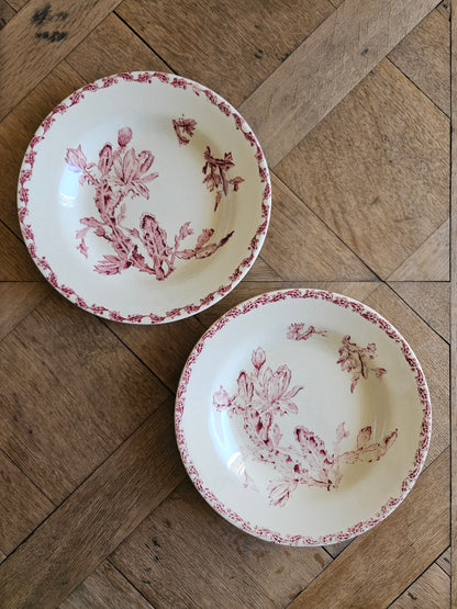 Lot de 2 assiettes creuses gien cactus porcelaine opaque, terre de fer. Rouge