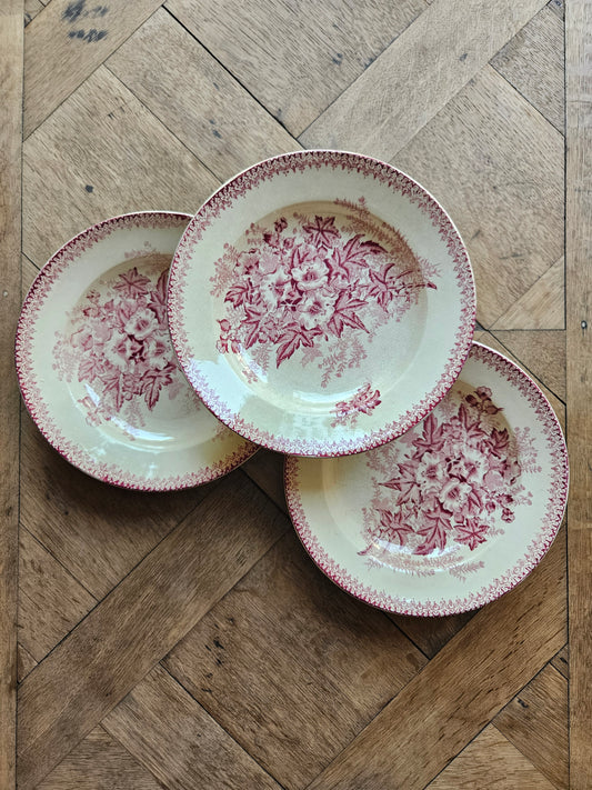 Lot de 3 assiettes creuses anciennes Onnaing modèle Églantines. Terre de fer rose rouge.