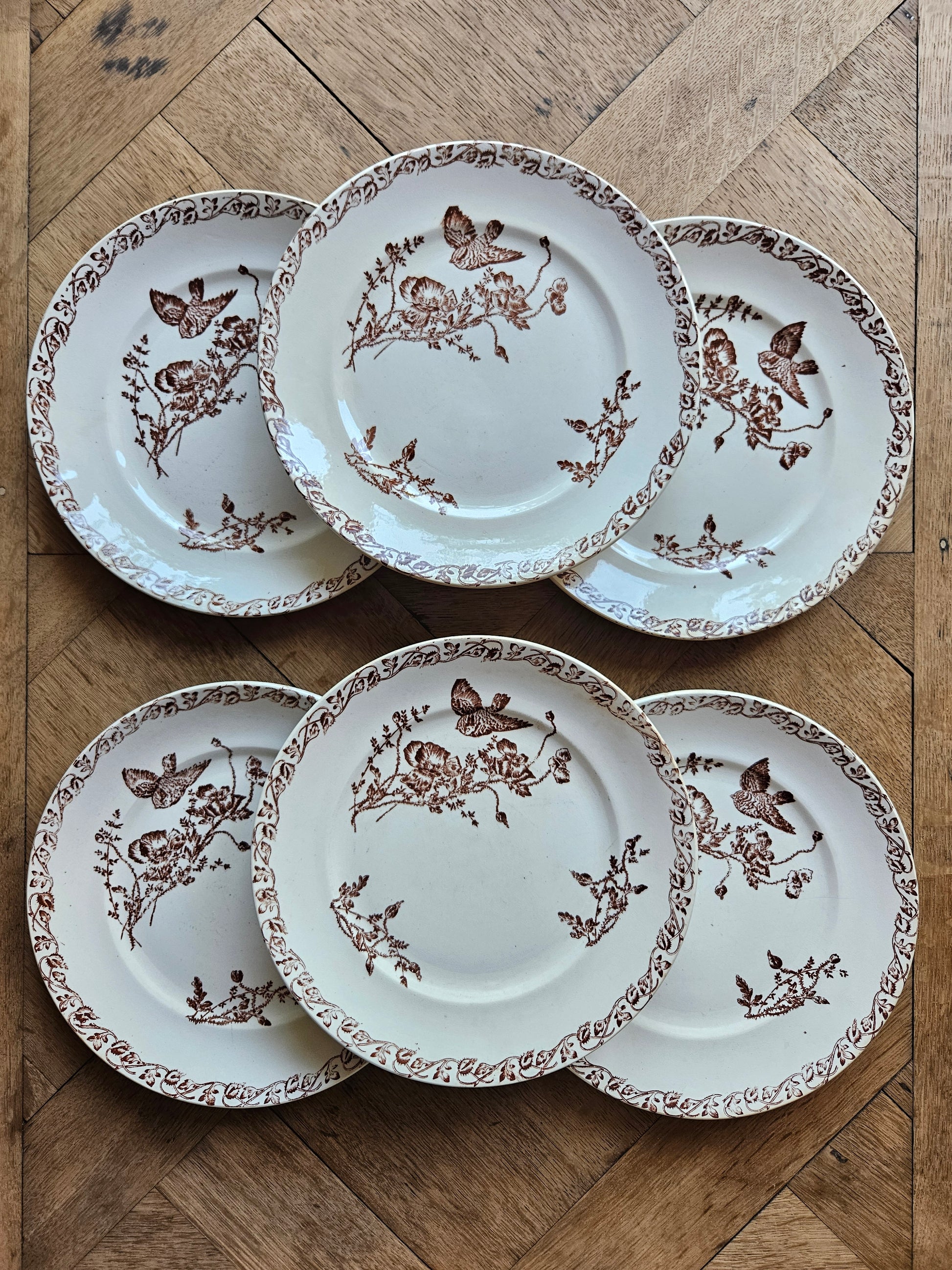Lot de 6 assiettes à dessert anciennes oiseau et coquelicots. Terre de fer sepia. 