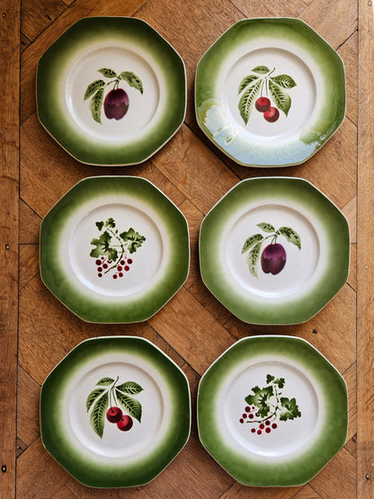 Lot de 6 assiettes à dessert Pexonne. Cerises, prunes, raisins. Bord vert.