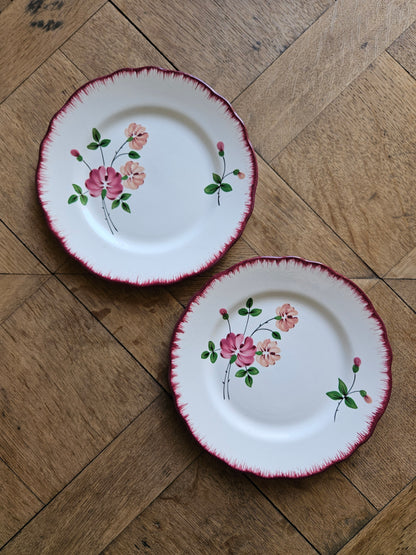 Lot de 2 assiettes à dessert anciennes salins, style rétro 