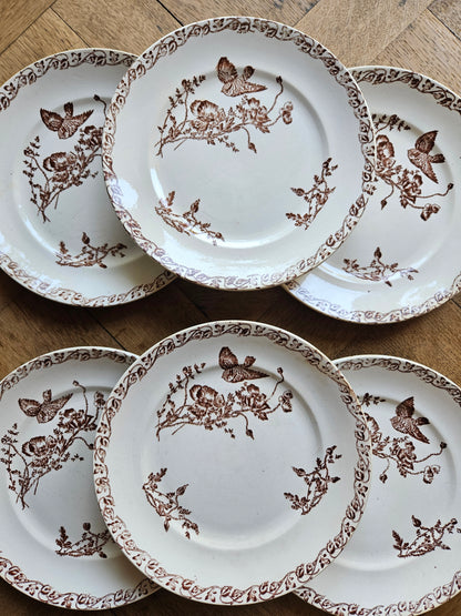 Assiettes anciennes à dessert terre de fer sepia. Décor oiseau et coquelicots. 