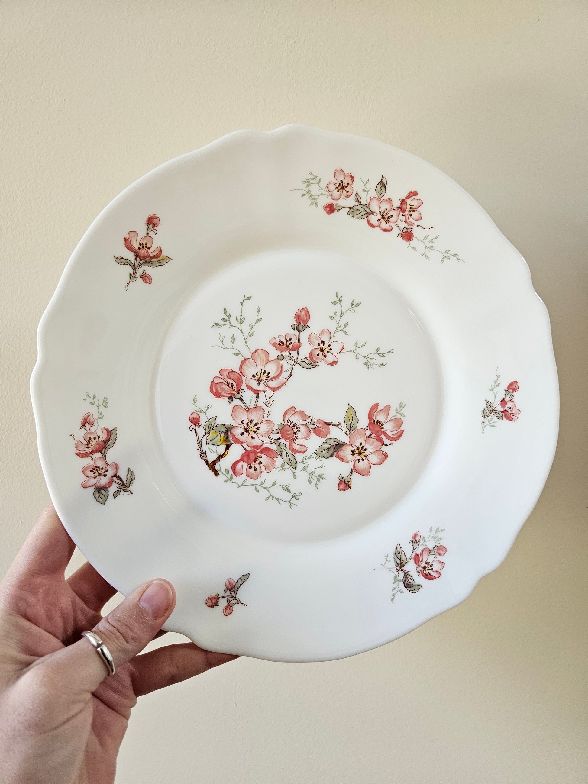 Assiettes plates vintage Arcopal Florentine. Décor fleurs de cerisiers.