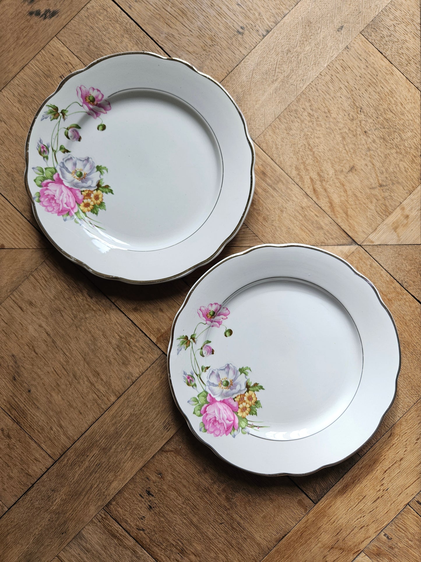 Lot de 2 assiettes plates anciennes Digoin et Sarreguemines, modèle Anémones. 