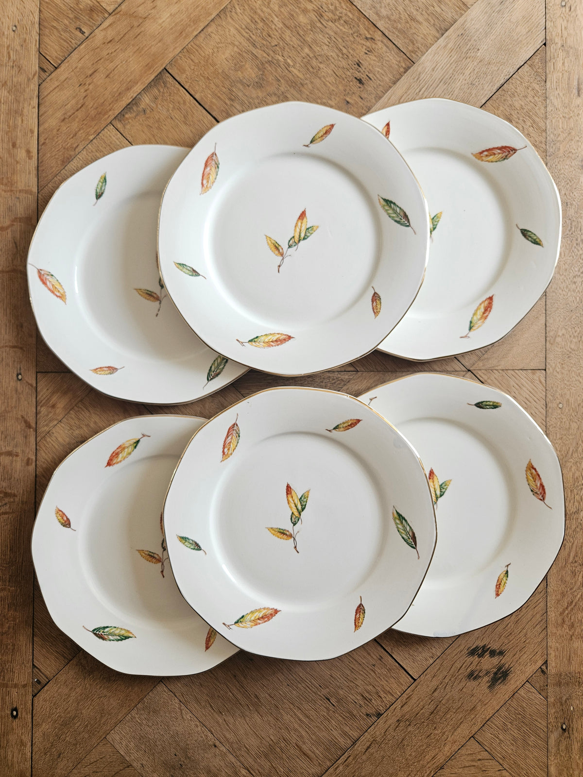 Lot 6 assiettes plates vintage décor automne. Digoin Nemours.