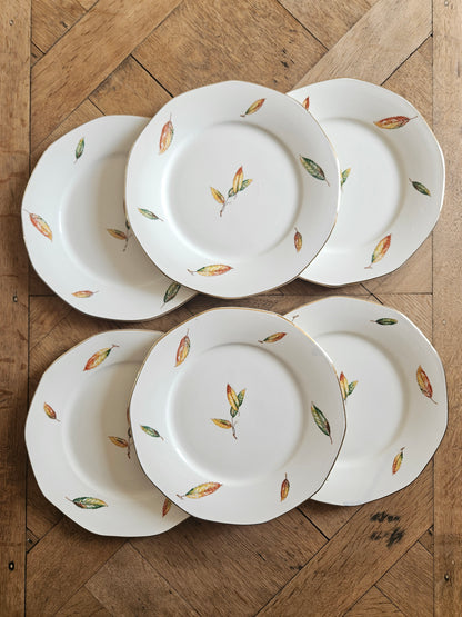 Lot 6 assiettes plates vintage décor automne. Digoin Nemours.