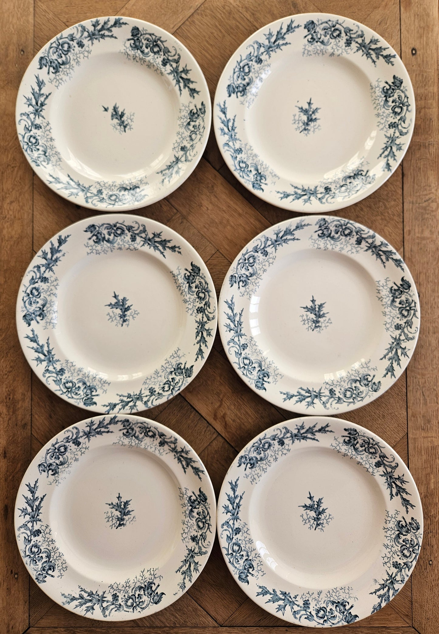 Lot de 6 assiettes plates anciennes Longwy Cyrano. Terre de fer, ironstone.