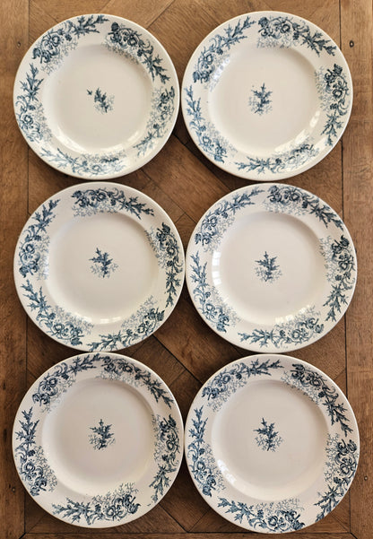 Lot de 6 assiettes plates anciennes Longwy Cyrano. Terre de fer, ironstone.