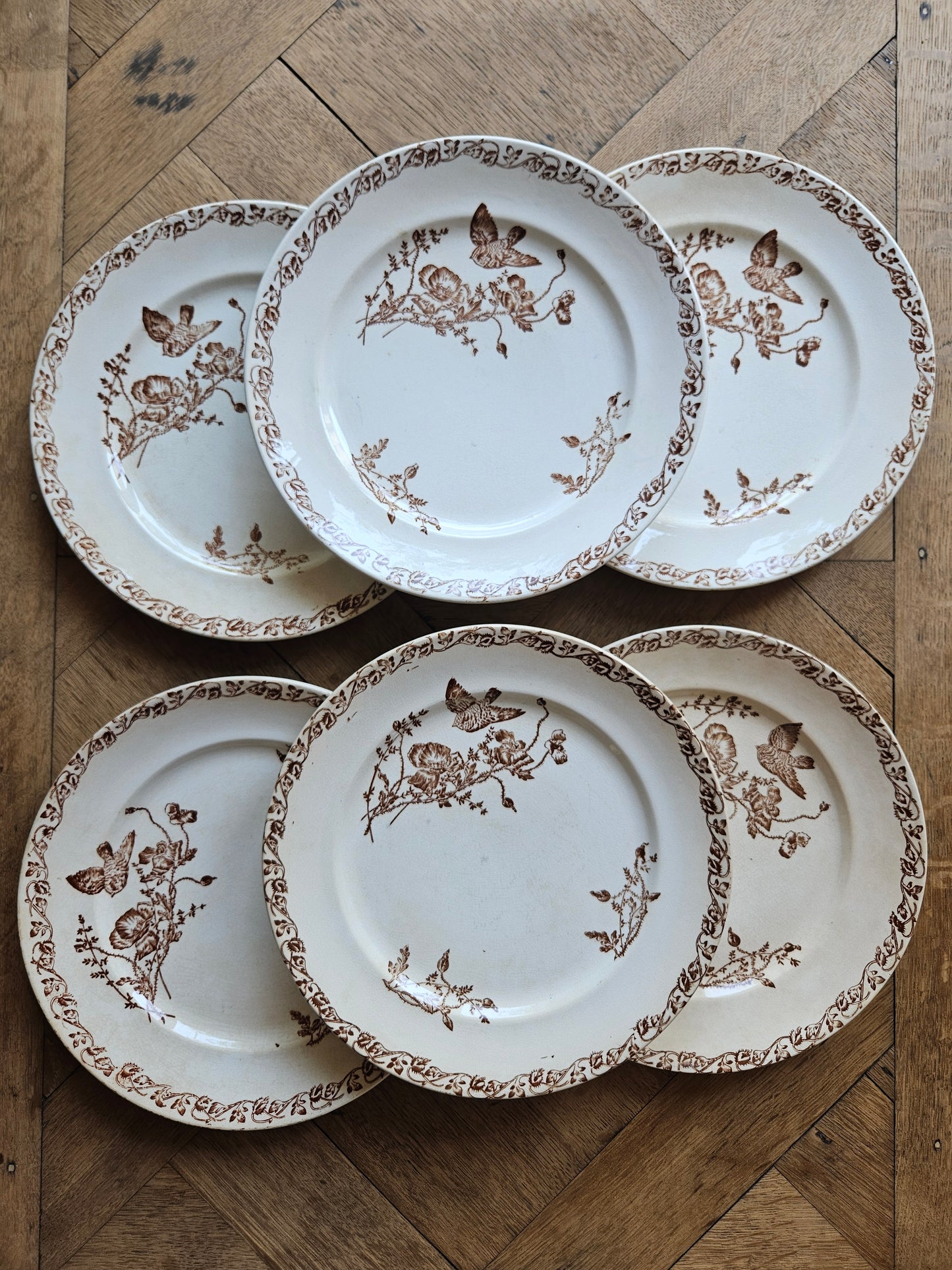 Lot de 6 assiettes anciennes en terre de fer. Décor oiseau et coquelicots couleur sépia. Vaisselle ancienne rare.