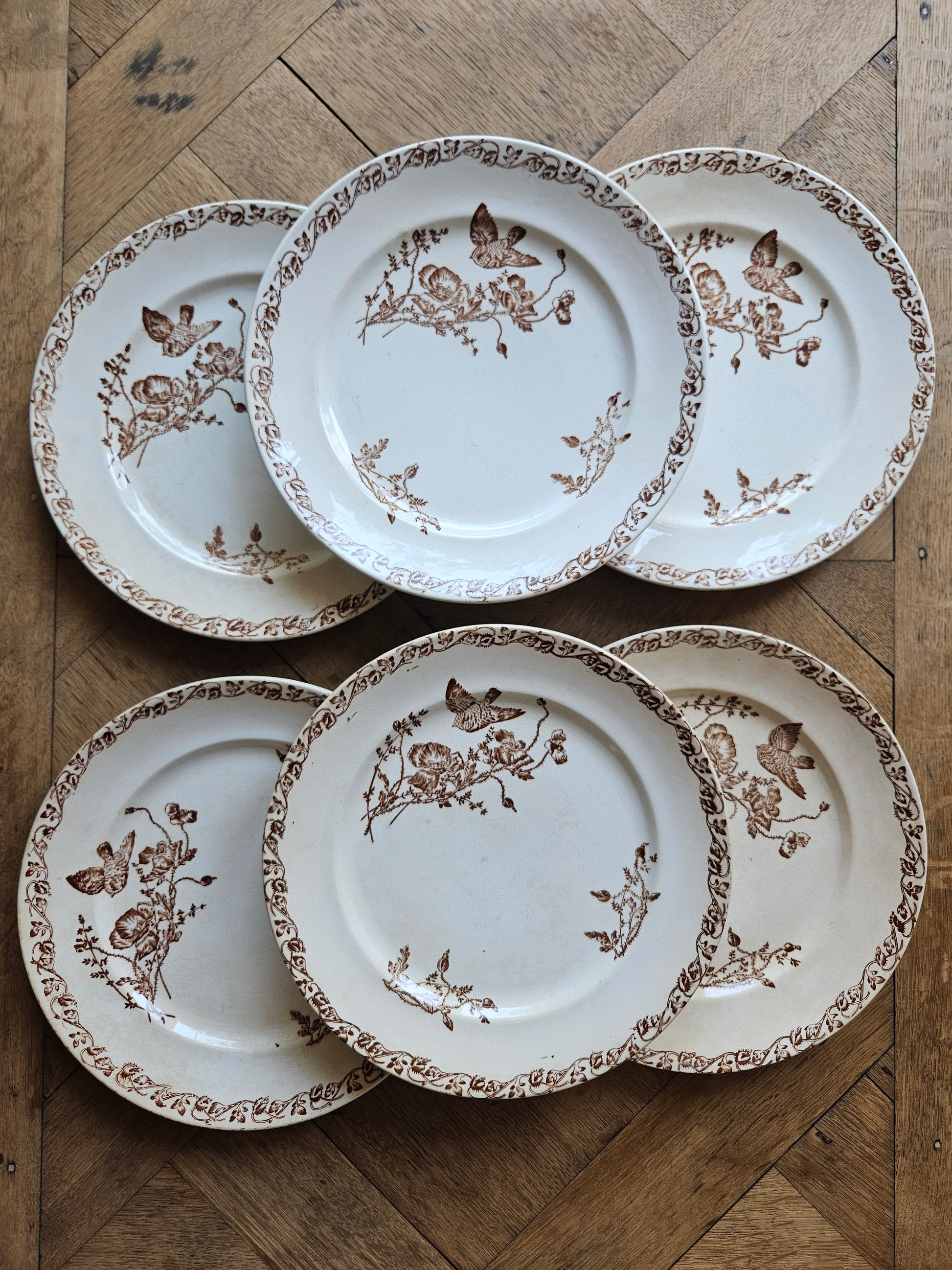 Lot de 6 assiettes anciennes en terre de fer. Décor oiseau et coquelicots couleur sépia. Vaisselle ancienne rare.
