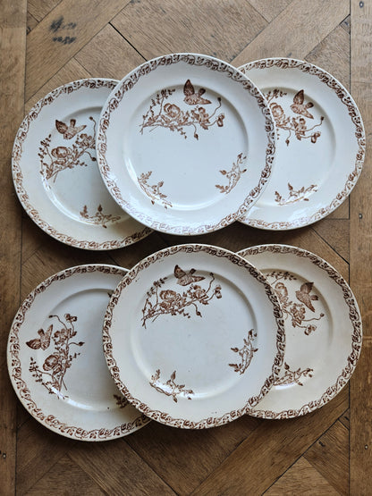 Lot de 6 assiettes anciennes en terre de fer. Décor oiseau et coquelicots couleur sépia. Vaisselle ancienne rare.