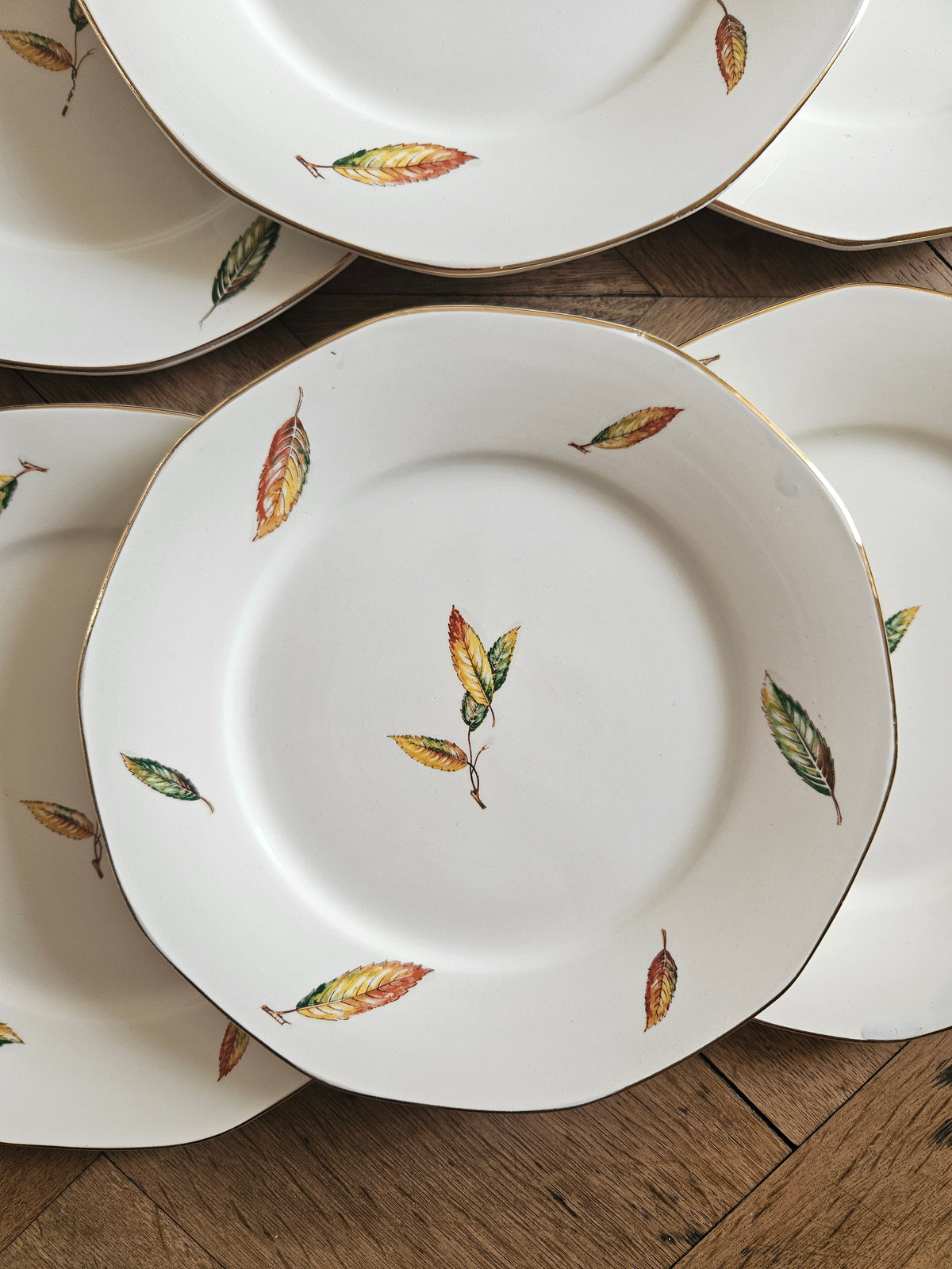 Lot d’assiettes plates anciennes Digoin et Sarreguemines modèle Nemours. Décor automnal, feuilles.