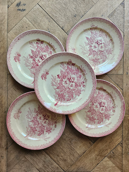 Lot de 5 assiettes plates anciennes onnaing modèle eglantines. Terre de fer rose.