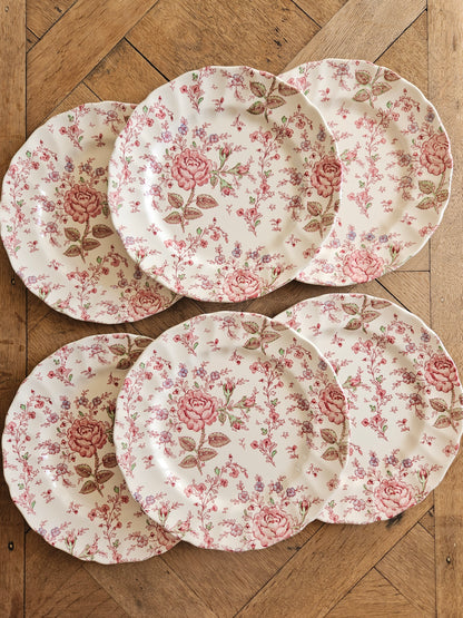 Lot de 6 assiettes plates vintage Johnson Brothers collection Rose Chintz. Vaisselle vintage spéciale lave-vaisselle et micro-ondes. Style shabby chic aux petites fleurs et roses. Made in England.