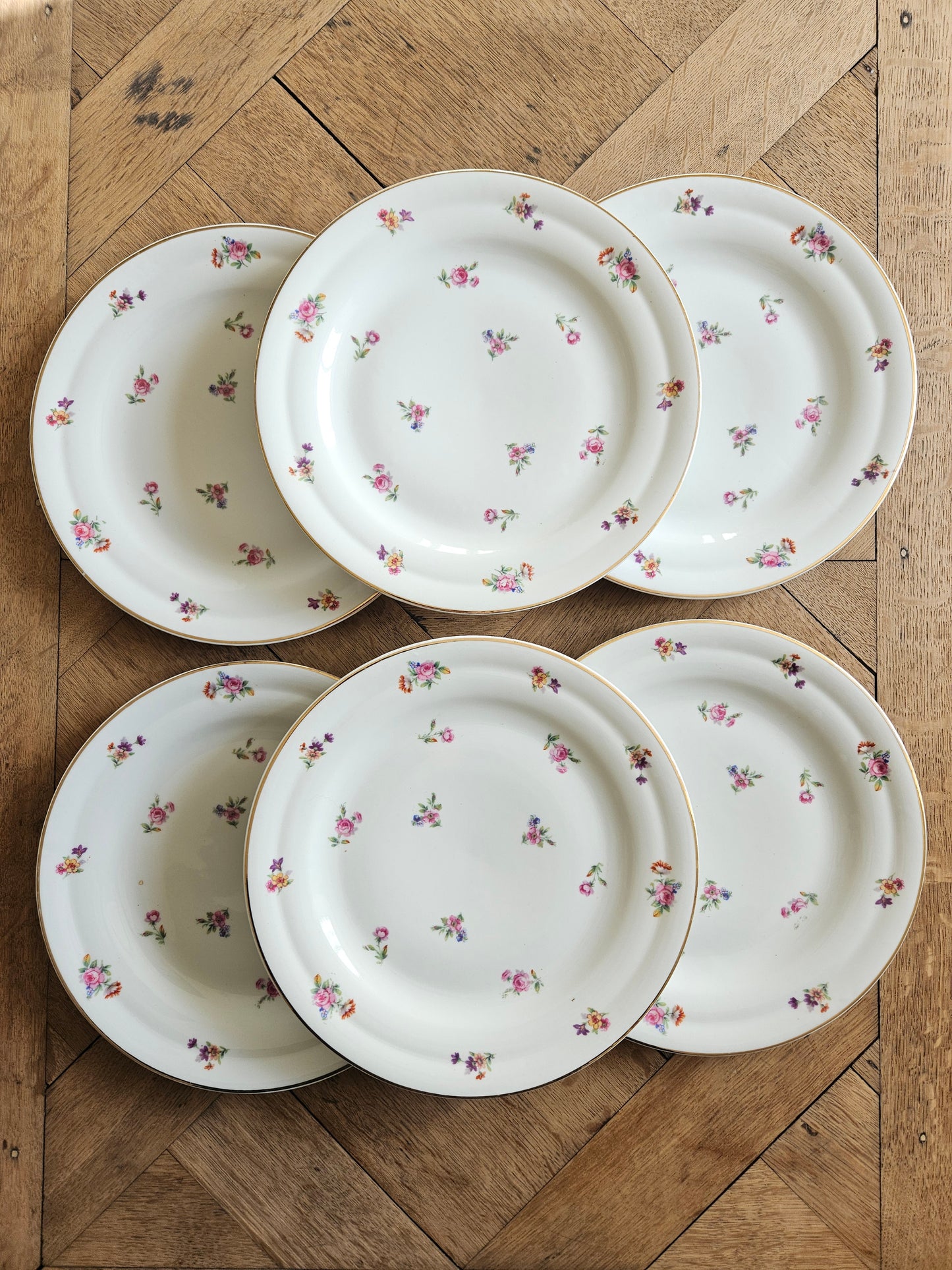 Lot de 6 assiettes plates vintage en porcelaine style shabby chic