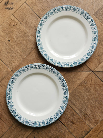 Assiettes plates anciennes Salins Celtic terre de fer