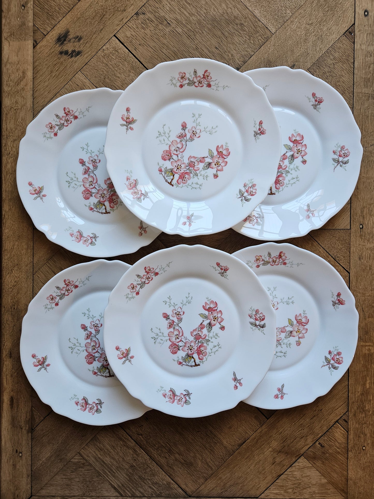 Lot de 8 assiettes plates vintage Arcopal Florentine. Décor fleurs de cerisiers.