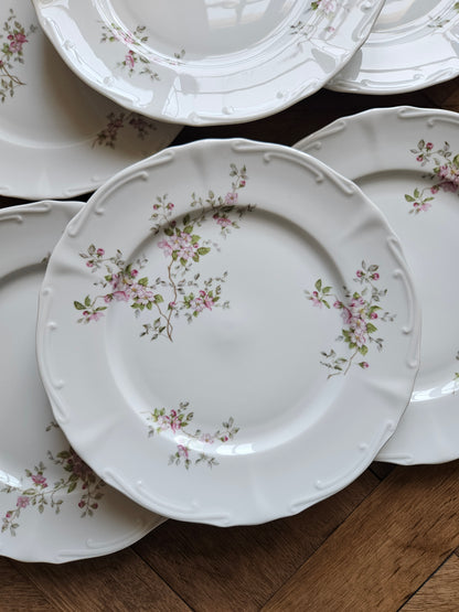 Assiettes plates vintage porcelaine, fleurs