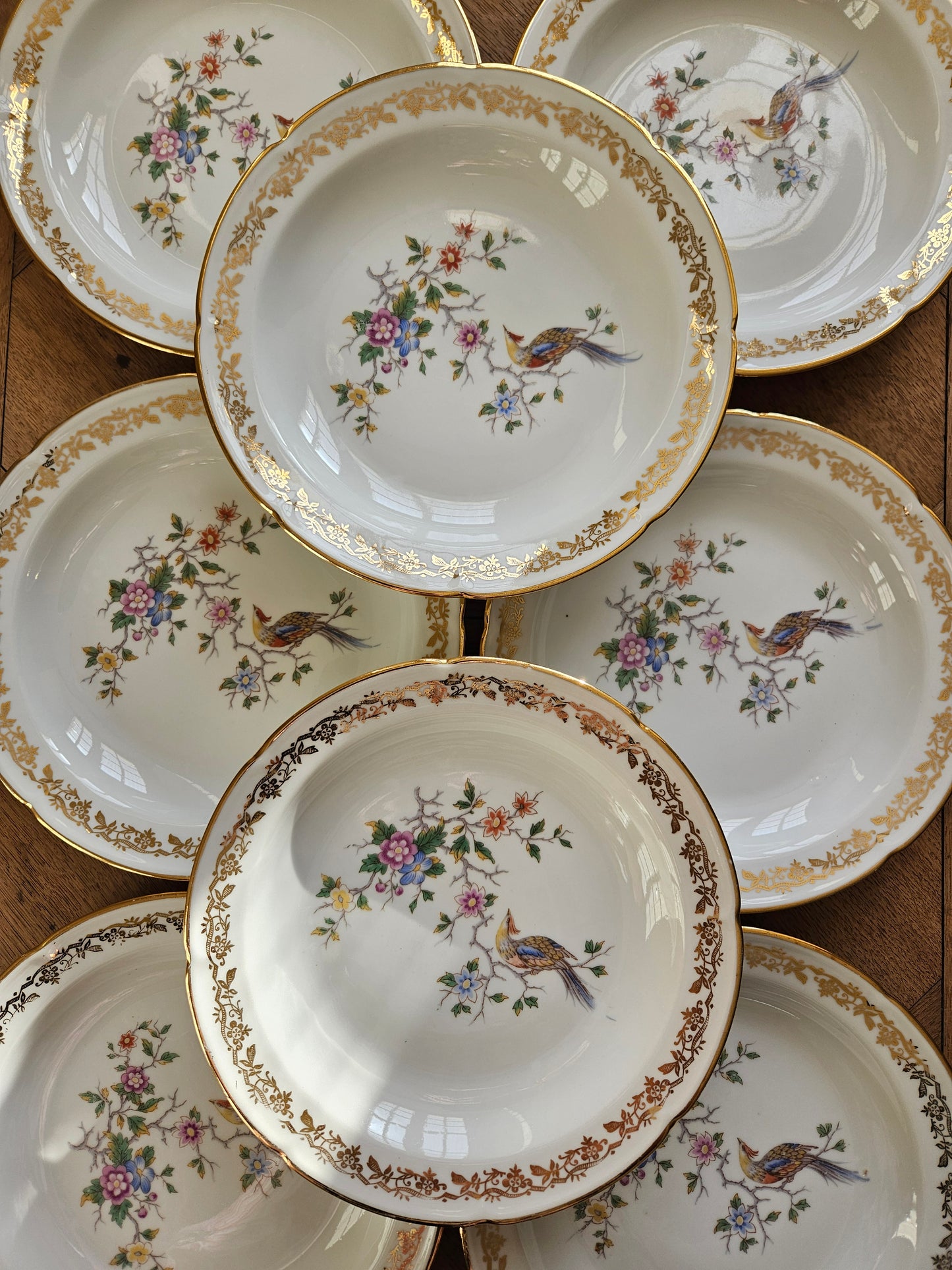 Assiettes creuses porcelaine Oiseau