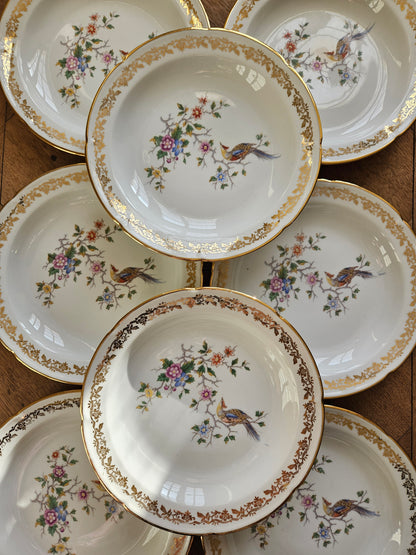 Assiettes creuses porcelaine Oiseau