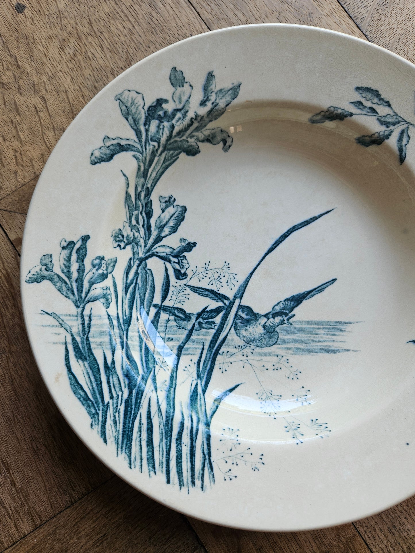 Assiette creuse Samaritaine, Nenuphar