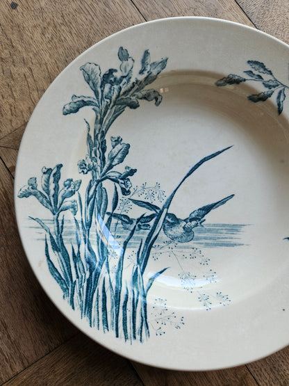 Assiette creuse Samaritaine, Nenuphar