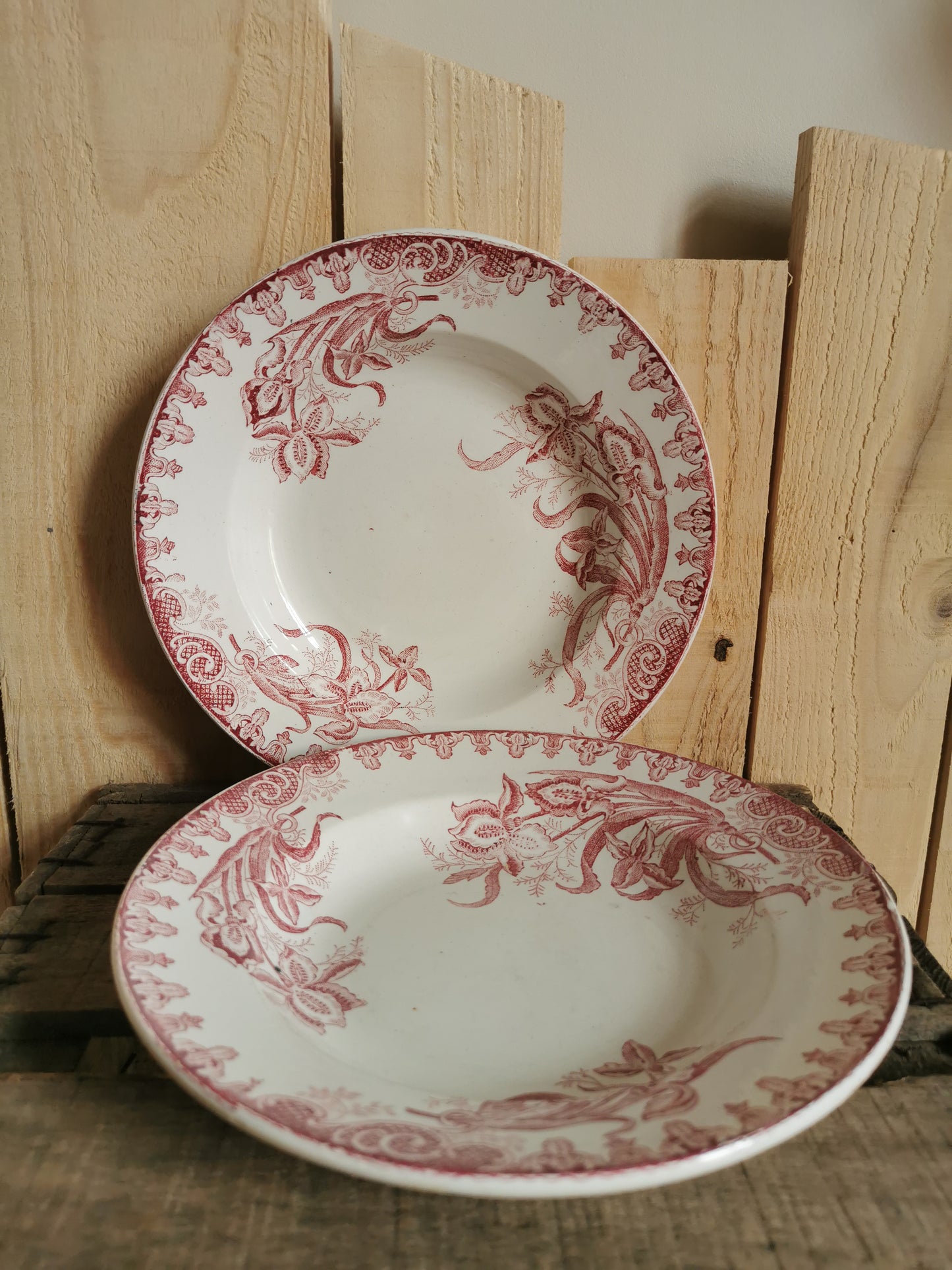 Assiettes creuses Sté Amandinoise, Iris