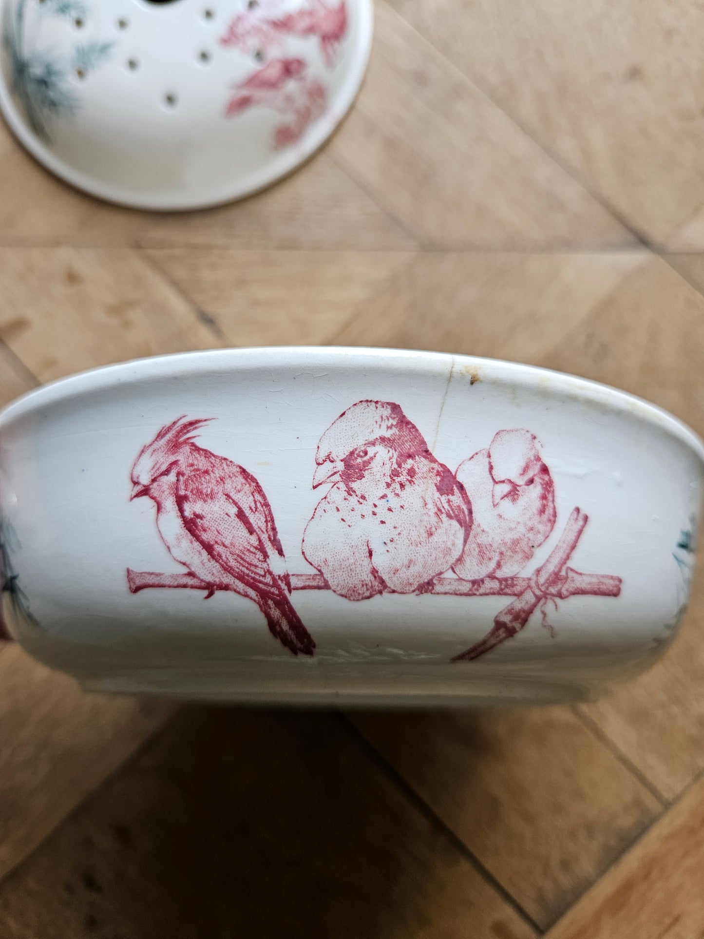 Porte éponge ancien Longwy, Oiseaux