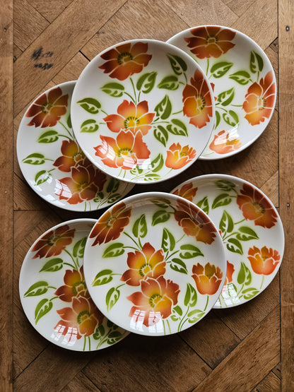 Lot de 6 assiettes vintage Moulin des loups modèle ontario. Grosses fleurs oranges et vertes. Vaisselle vintage spéciale lave-vaisselle. 