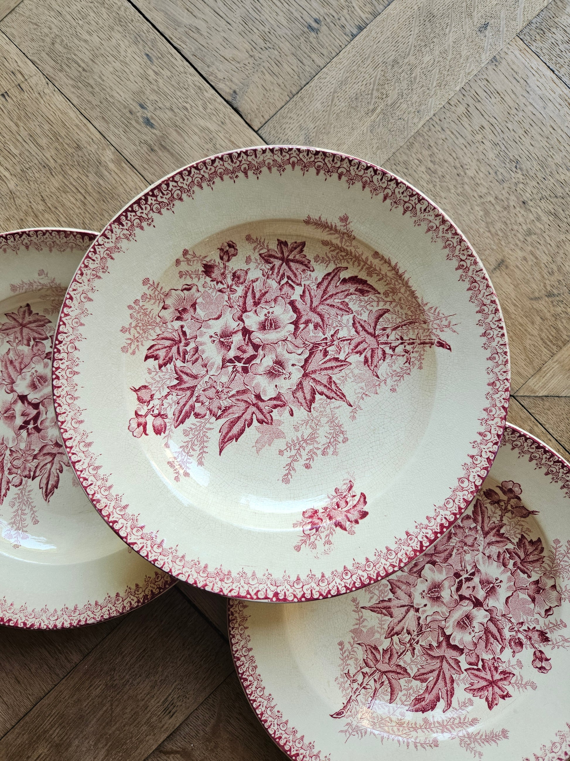 DecorÉglantines de Onnaing sur assiettes creuses anciennes en terre de fer
